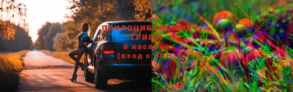марихуана Михайловск