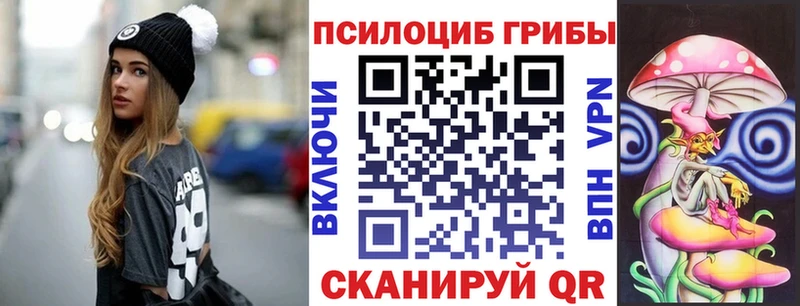 Галлюциногенные грибы GOLDEN TEACHER  купить   Электрогорск 