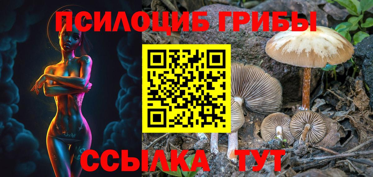 Псилоцибиновые грибы Psilocybe Электрогорск