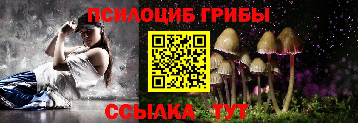Галлюциногенные грибы Magic Shrooms  Вход с VPN  Галлюциногенные грибы Psilocybe  Электрогорск 
