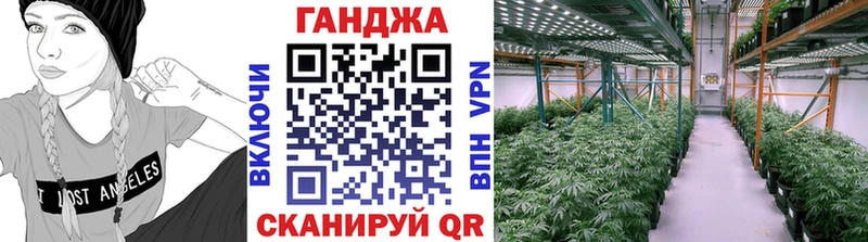как найти закладки  Электрогорск  мега онион  Канабис тримм 